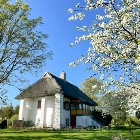 Villa Tolluste Villa