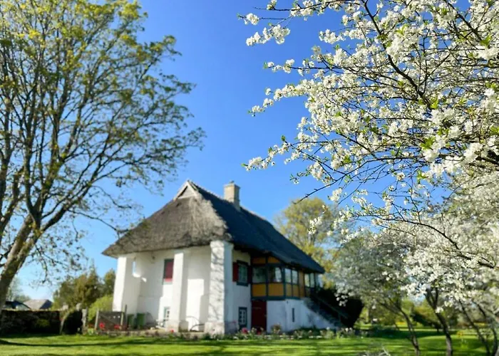 Villa Tolluste Villa